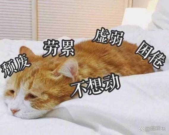 心好累表情包