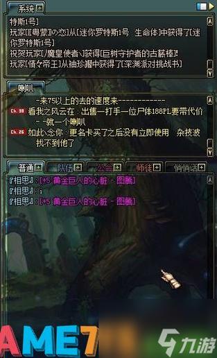 dnf两个聊天栏一大一小