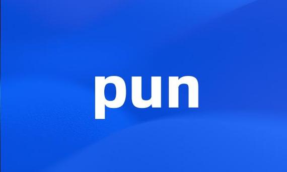 PUN代表什么截图