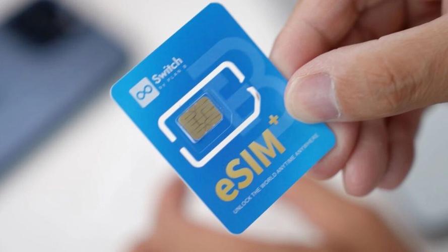 esim卡支持的城市图标