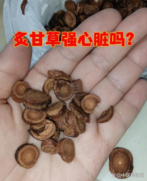 炙甘草对心脏的作用缩略图
