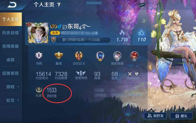 王者荣耀生涯资料是啥