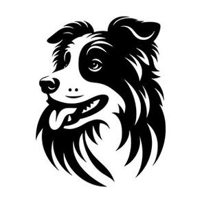 狗头一半黑一半白好不好