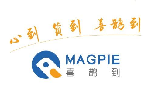 喜鹊到平台游戏截图