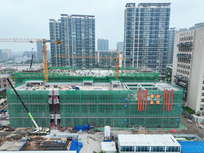 兔兔岛国际服官网入口下载