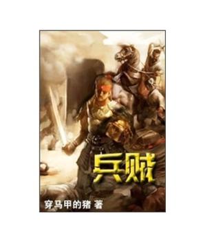 兵贼 小说