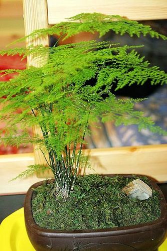 云松教学