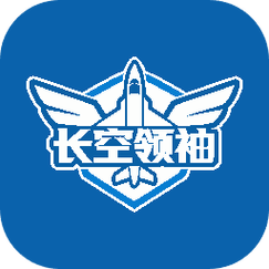 长空领袖无限金币