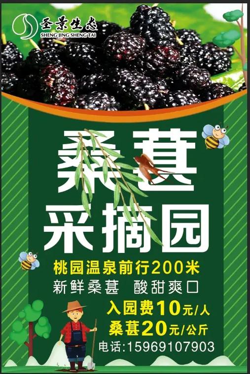 农村采摘园桃园广告语
