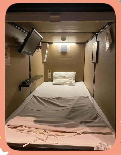 胶囊旅馆向上传递的演员表