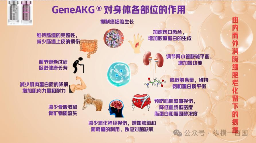 akg的功效和副作用游戏截图