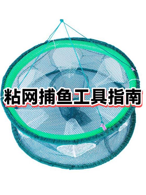 2指粘网一般捉多大鱼