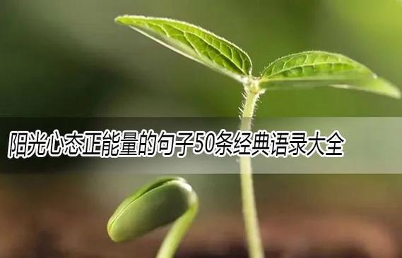 阳光心态最经典十句话
