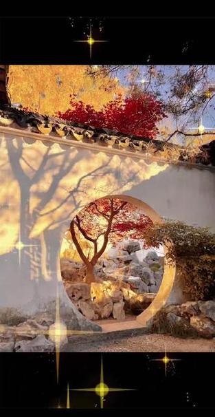 网师园蜡梅截图