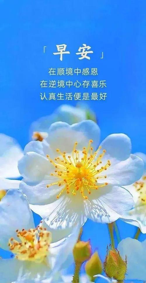 朋友圈清人的经典句子