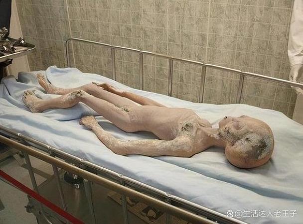 雅典和斯巴达谁先灭亡