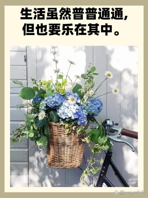 如何找回生活乐趣截图