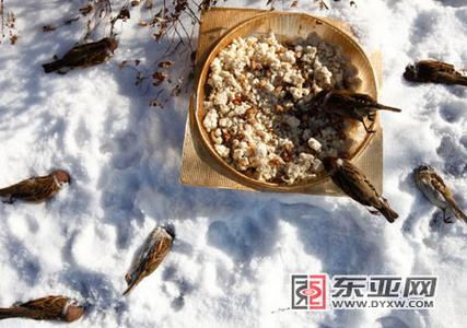 扁毛霜98%原粉