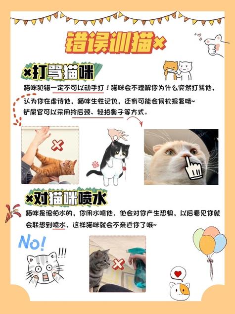 怎么驯养猫咪会比较听话截图