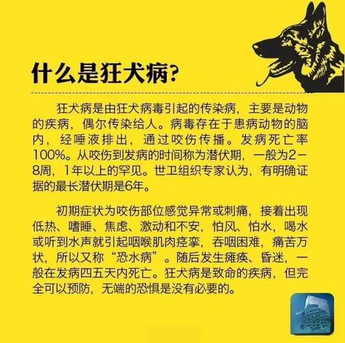 狂犬病自测6个方法