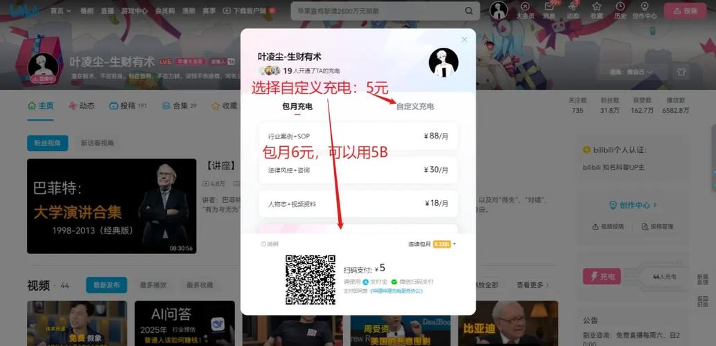 哔哩哔哩网页版充值截图