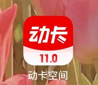 动卡空间为啥登不上去