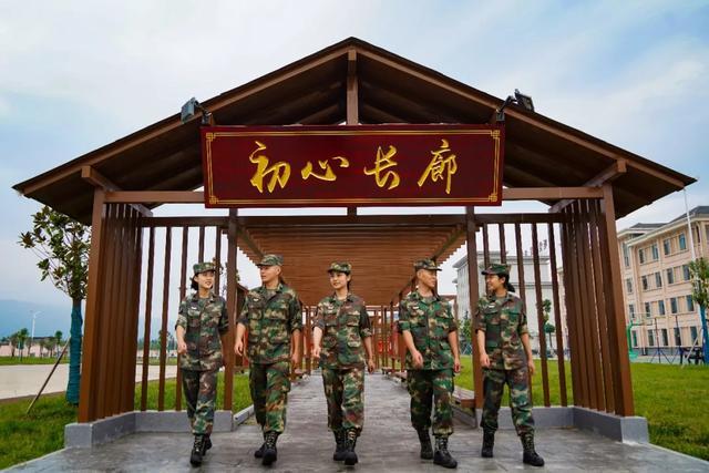类似小白杨的军旅小说游戏截图