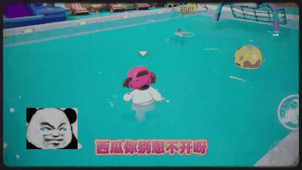 西瓜视频怎么搜主播的名字