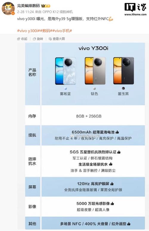 vivoy300i是低端机吗图标