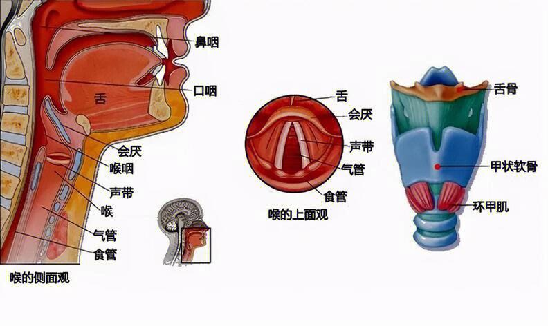 唱歌和说话音色应该一样吗截图