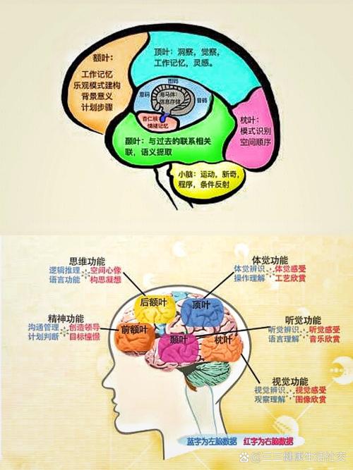 普通脑点子