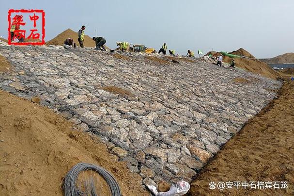qq飞车雷诺防护装置有必要改吗