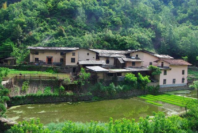 田园人家怎么样