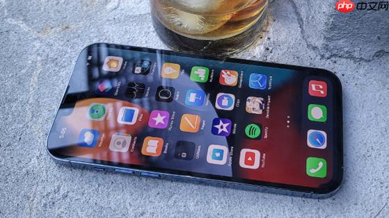 iphone怎么调节屏幕刷新率截图