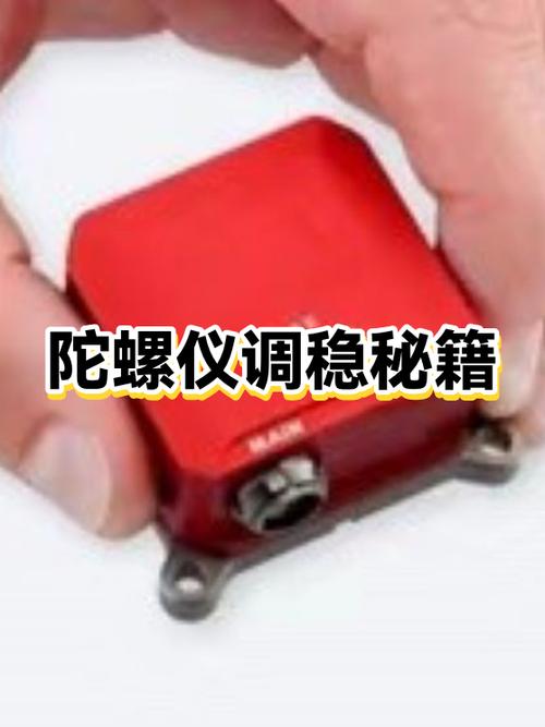 香肠派对陀螺仪怎么调最稳图标