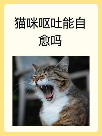 猫哮喘可以自愈吗