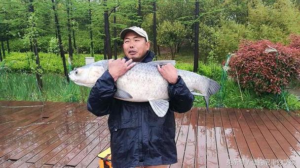 口袋妖怪白金光钓鱼怎么钓