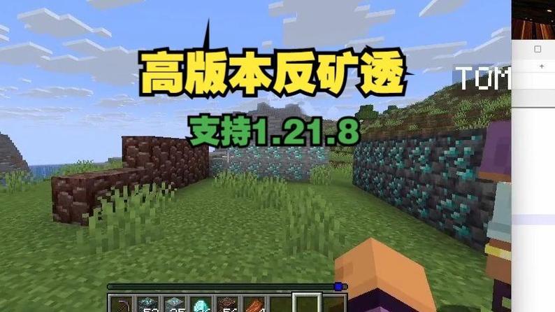 我的世界服务器反矿透