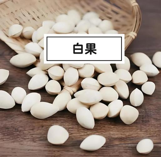强5白果儿好还是白月月好