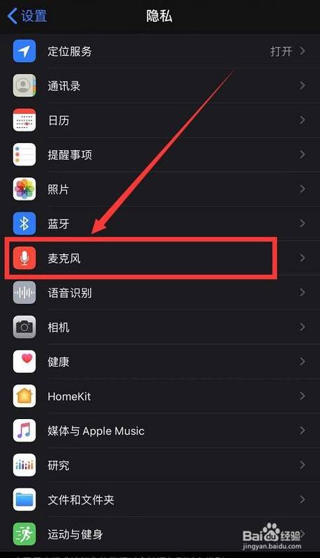 苹果麦克风设置大小