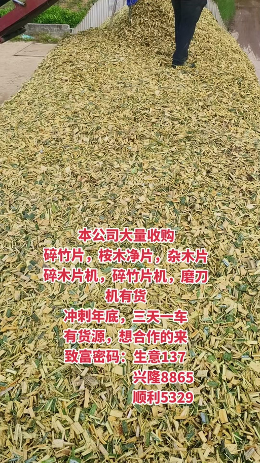 竹子收购信息