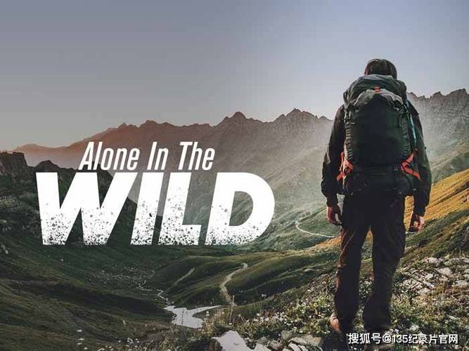 荒野求生之独闯荒野缩略图