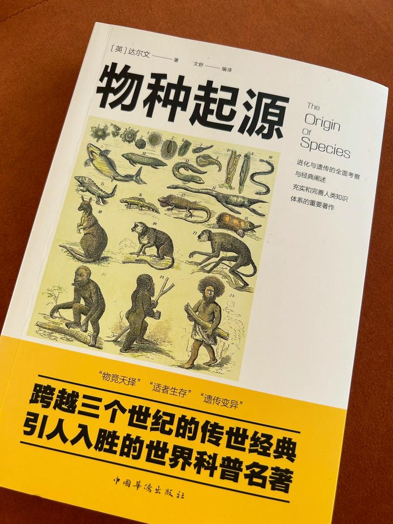 我的起源分解