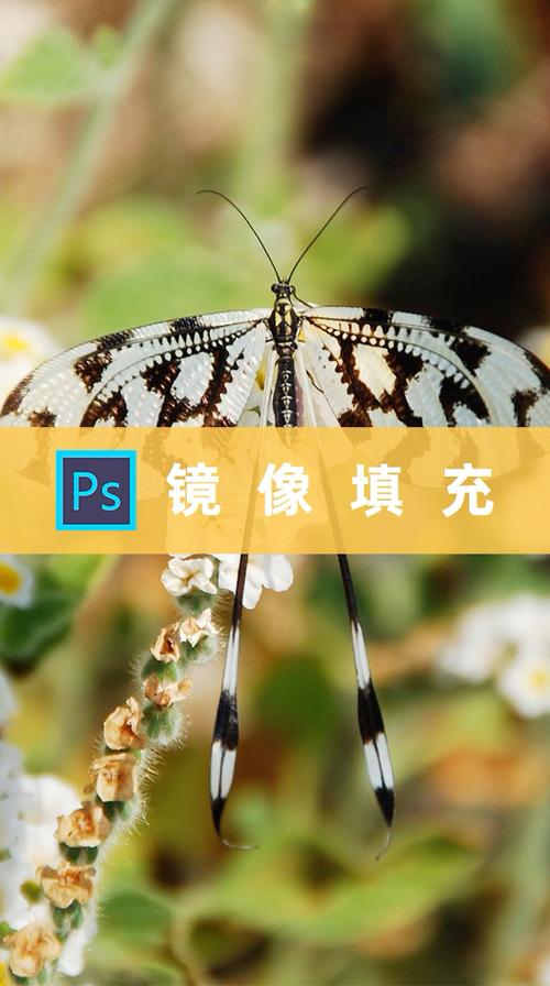 为什么接视频看不到自己