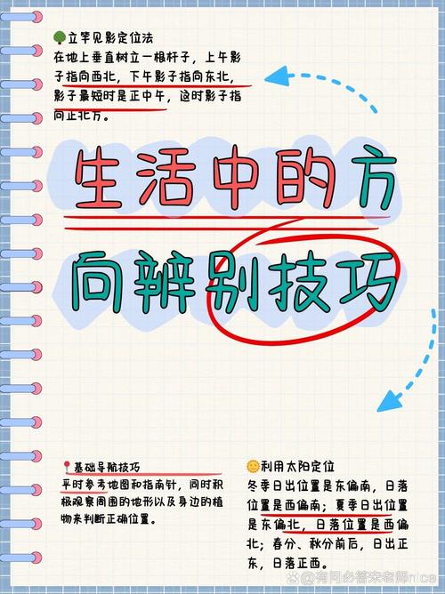 误造怎么看自己在哪