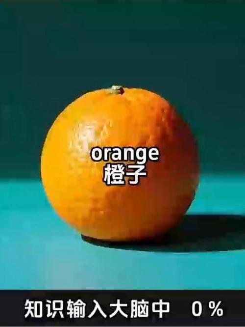 orenge是什么意思英语
