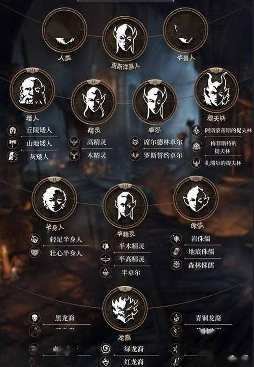 dnd种族完整分类