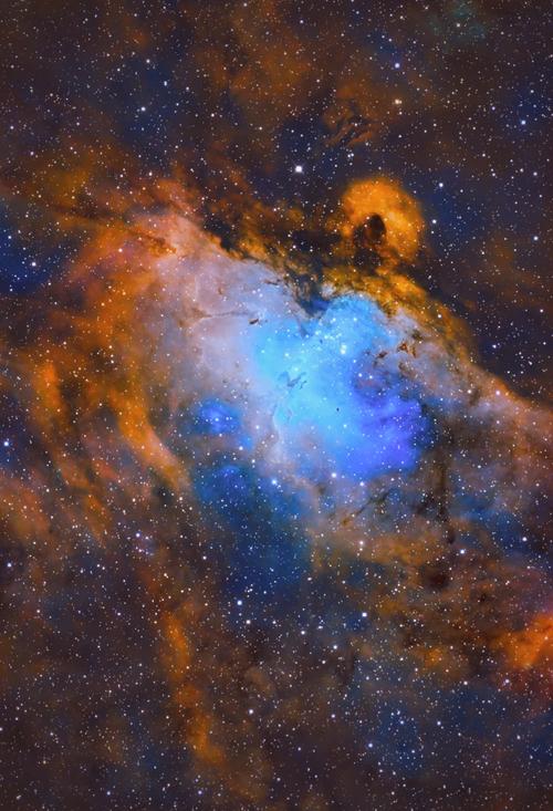 满星云最新消息原始股