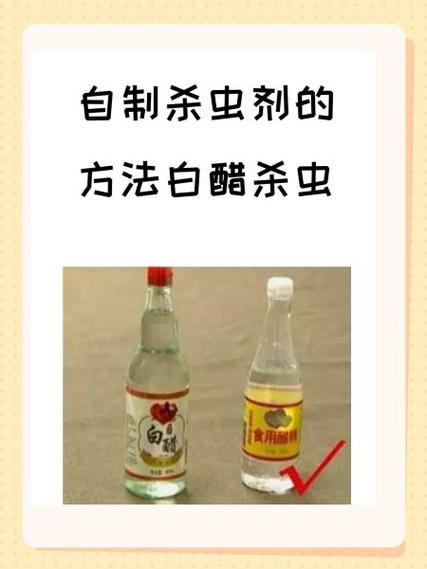 牙虫最简单的去除方法缩略图