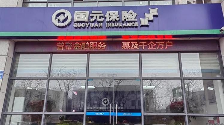 国元车险电话